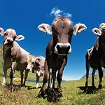 Apartmán Kuenk Schruns