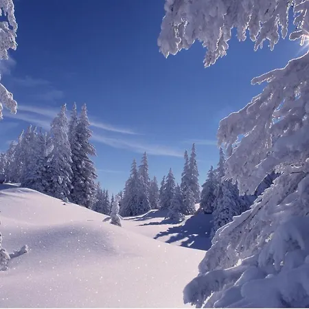 Apartmán Kuenk Schruns