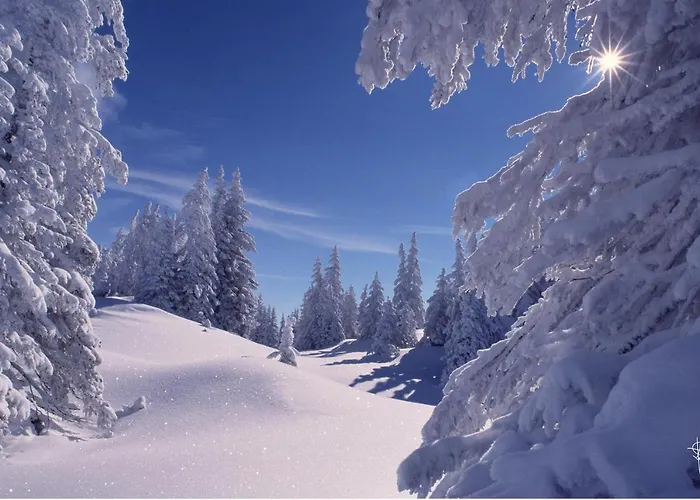 Apartment Kuenk Schruns